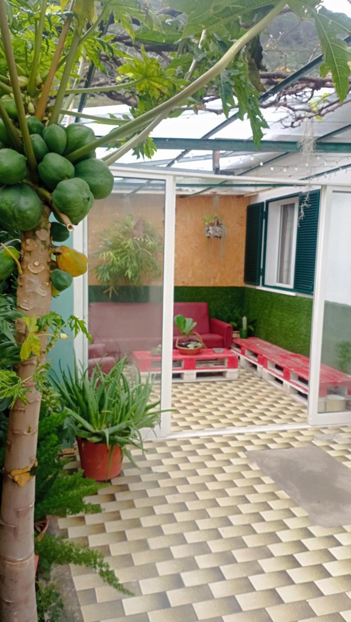 Kanela Guest House Machico  Buitenkant foto